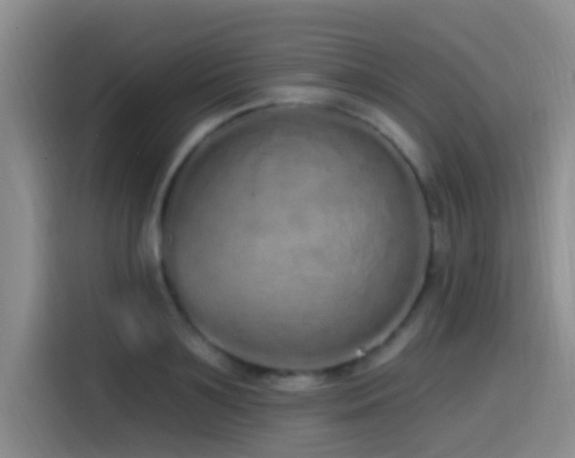 X0000115520891200911061415