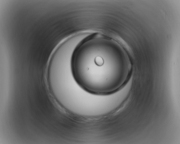 X0000115520892200911061415