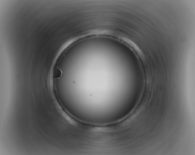 X0000115520894200911061415