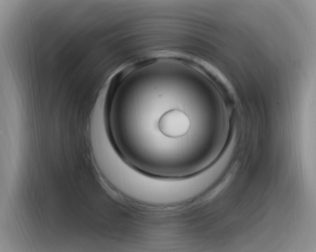X0000115520897200911061415