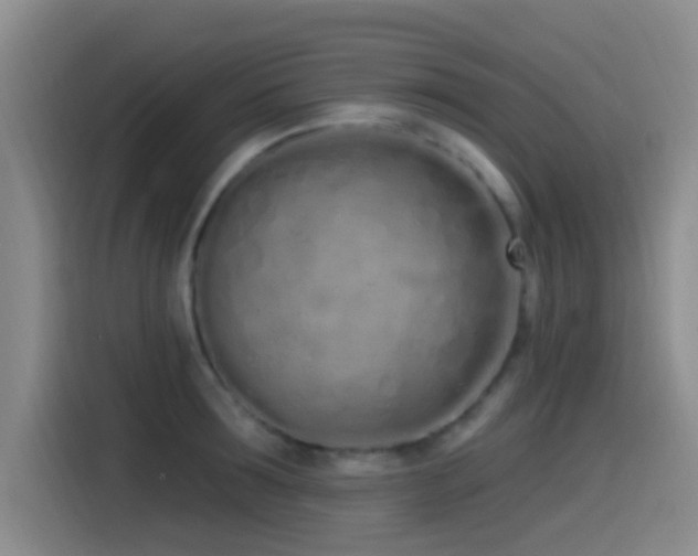 X0000115520899200911061415