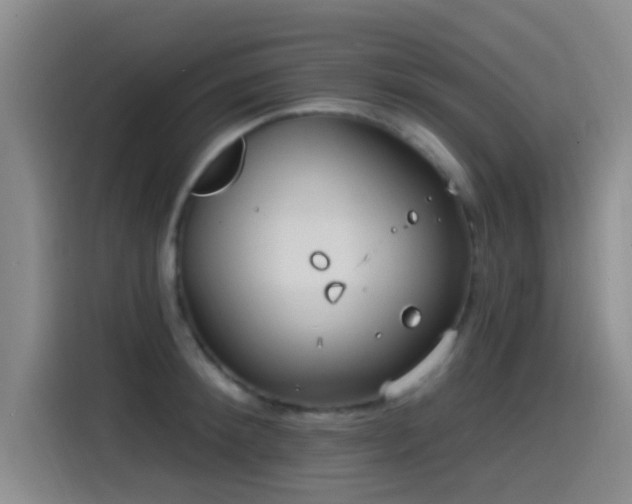 X0000115520900200911061415