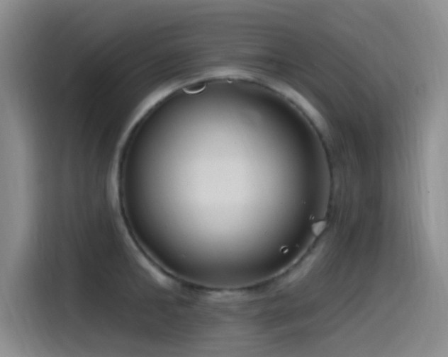 X0000115520902200911061415