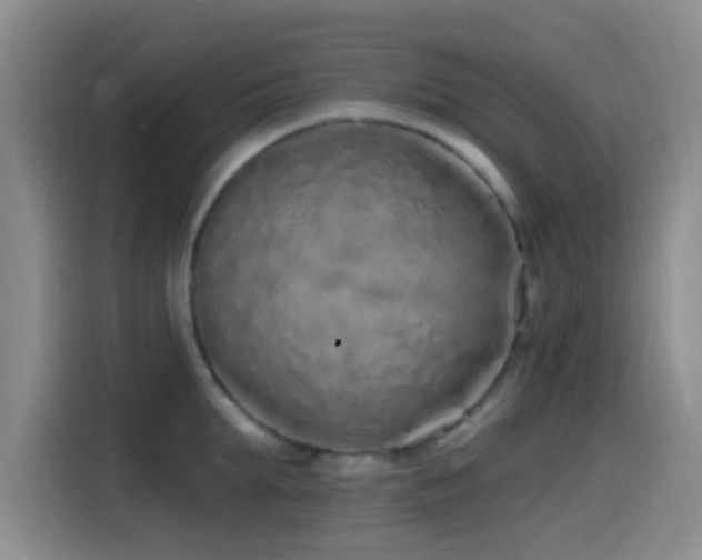 X0000115520903200911061415