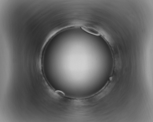 X0000115520904200911061415