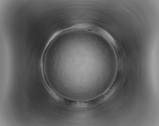 X0000115520907200911061415