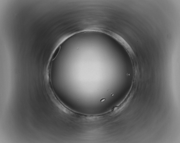 X0000115520908200911061415