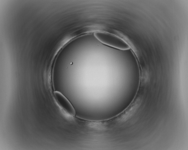 X0000115520909200911061415