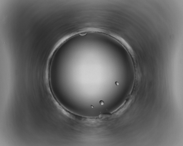 X0000115520910200911061415