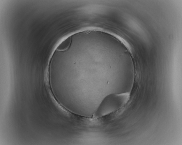X0000115520911200911061415