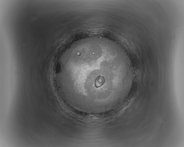 X0000115520913200911061414