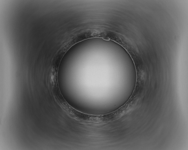 X0000115520914200911061414