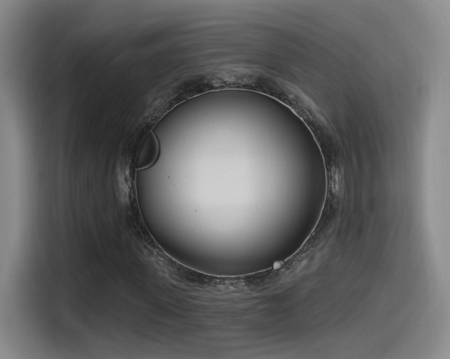 X0000115520915200911061414