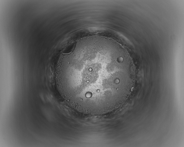 X0000115520917200911061414