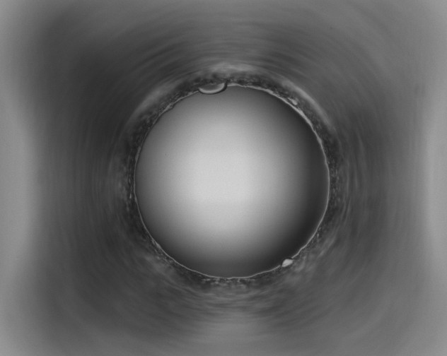 X0000115520919200911061414