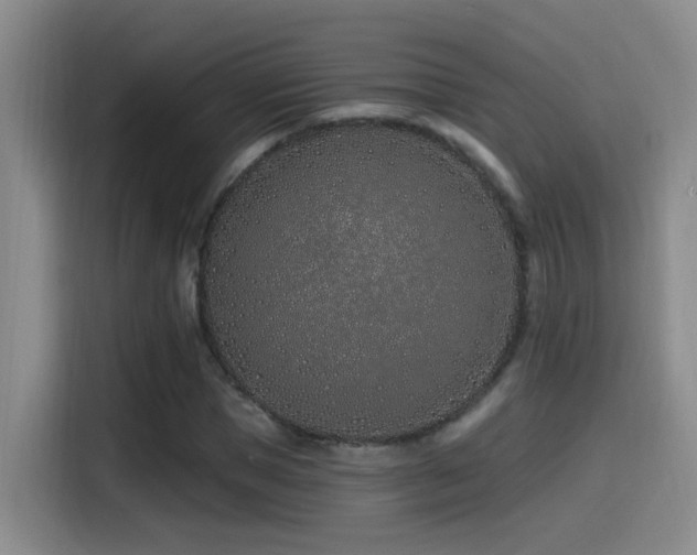 X0000115520921200911061414
