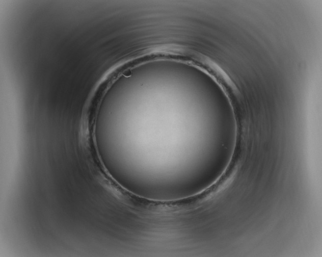 X0000115520923200911061414
