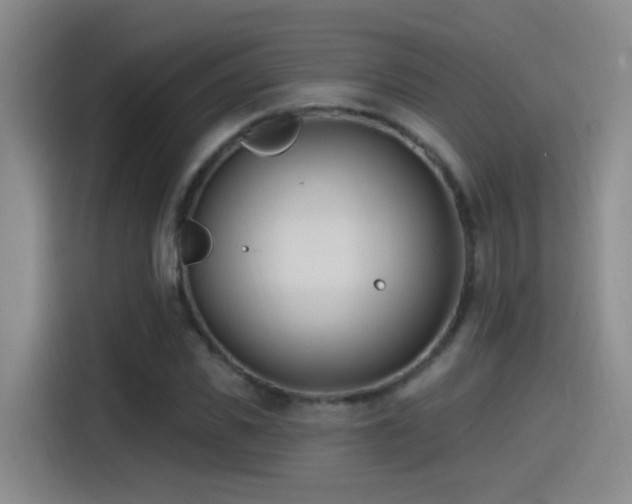 X0000115520925200911061414