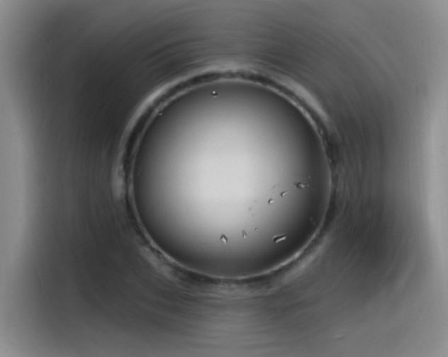 X0000115520927200911061414