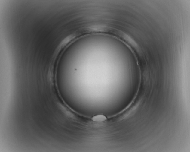 X0000115520930200911061414