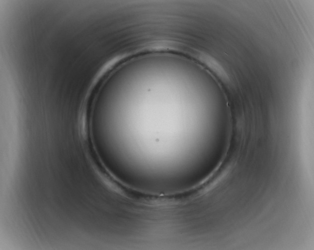 X0000115520934200911061414