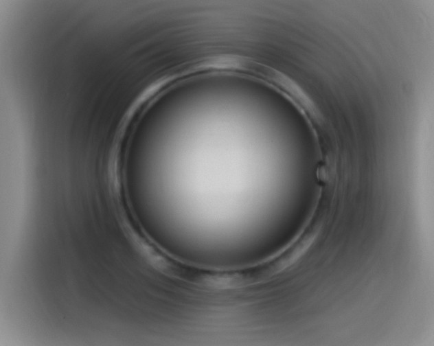X0000115520939200911061414