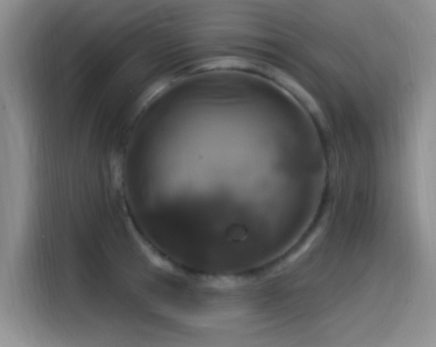 X0000115520945200911061414