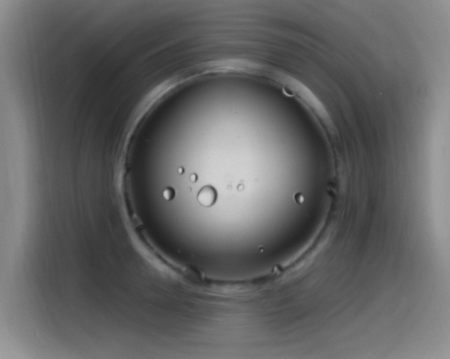 X0000115520946200911061414