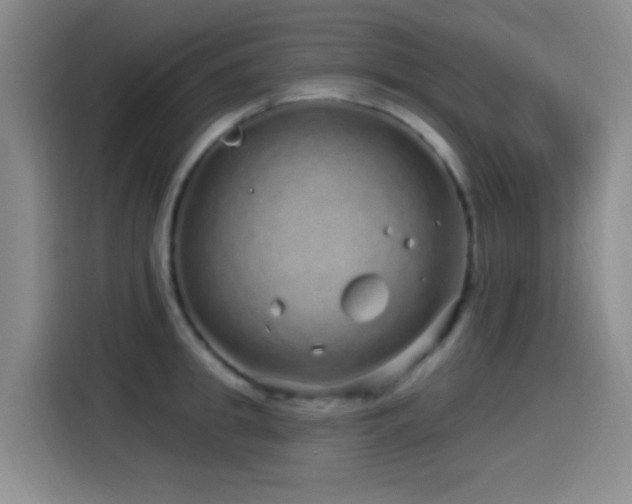 X0000115520949200911061414