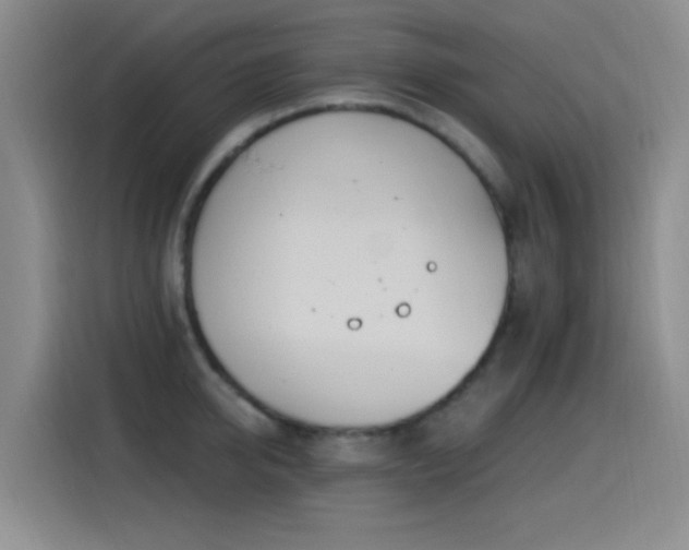 X0000115520950200911061414