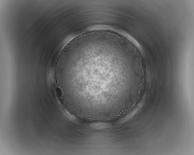 X0000115520953200911061415