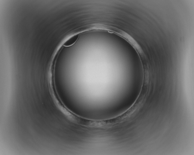 X0000115520955200911061415
