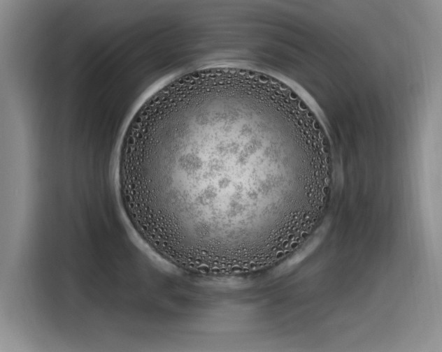 X0000115520957200911061415