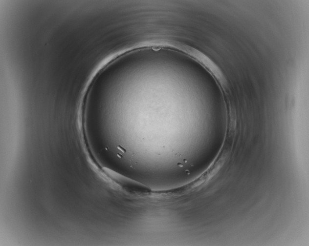 X0000115520958200911061415