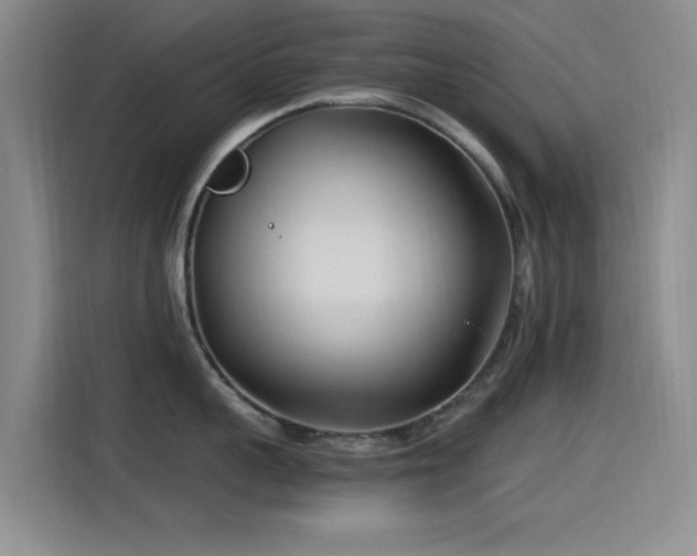 X0000115520959200911061415