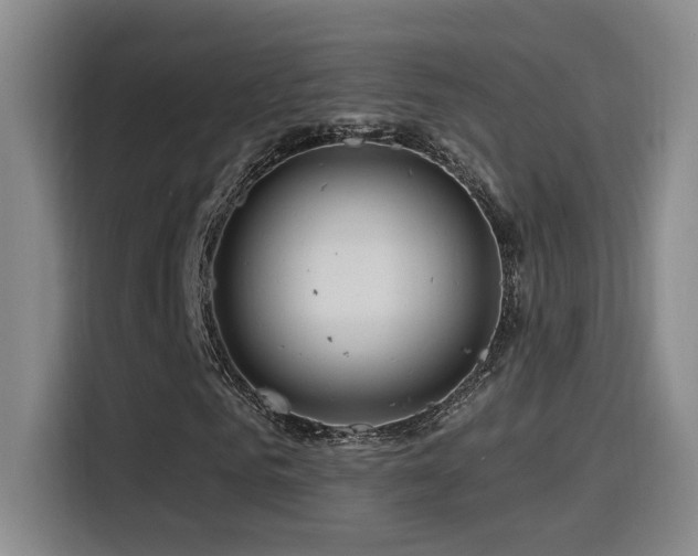 X0000115520961200911061414
