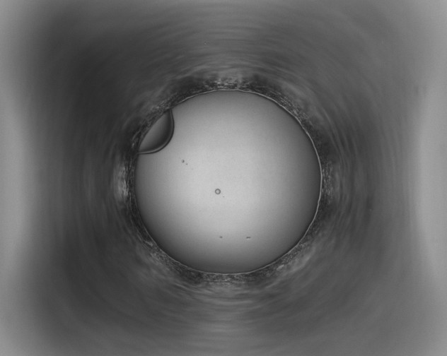 X0000115520962200911061414
