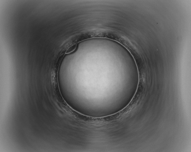 X0000115520964200911061414
