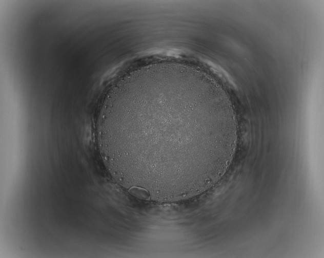 X0000115520966200911061414