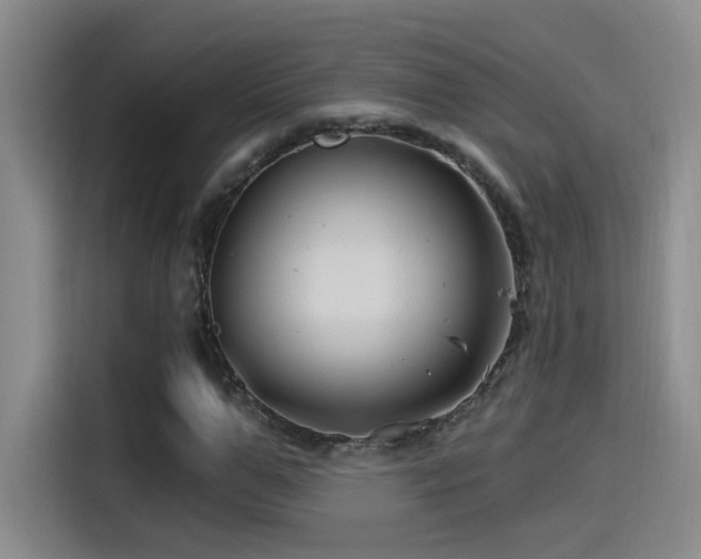 X0000115520967200911061414