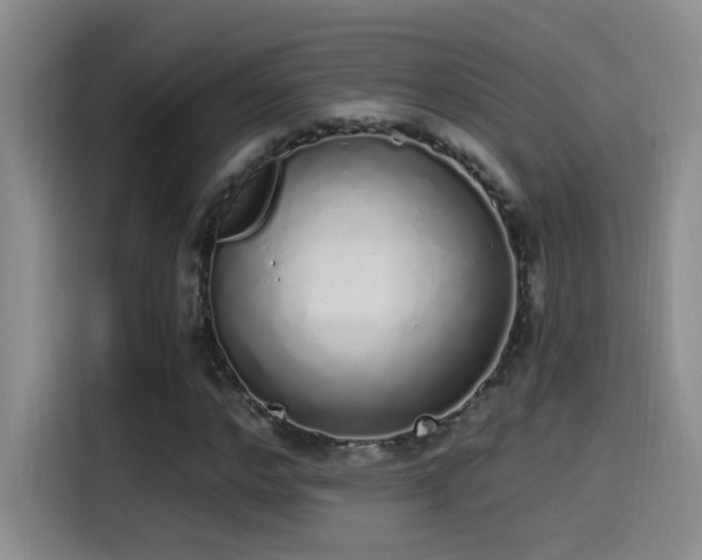 X0000115520968200911061414