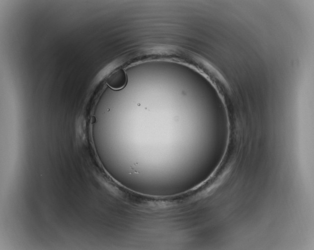 X0000115520970200911061414