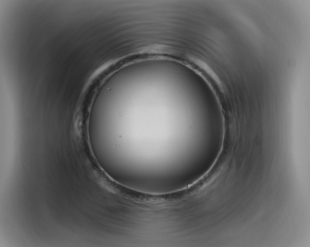 X0000115520971200911061414