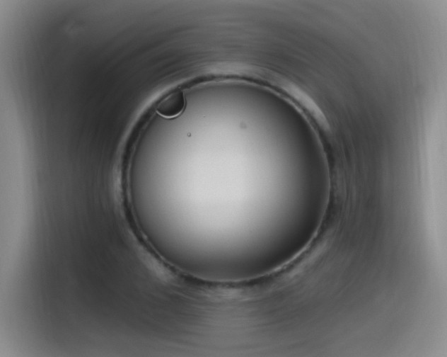 X0000115520976200911061414