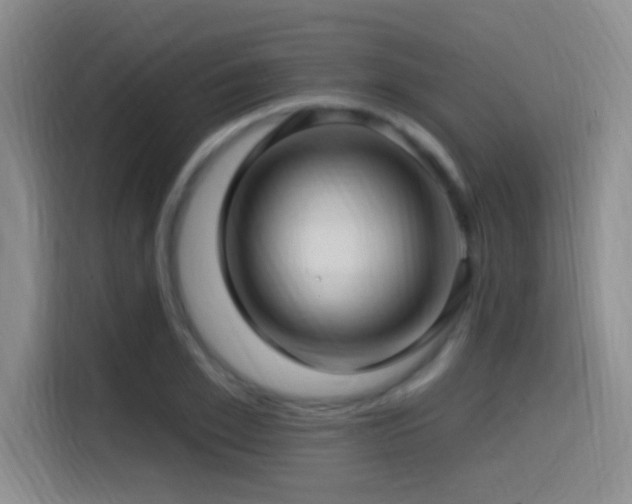 X0000115520981200911061414