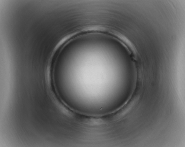 X0000115520983200911061414