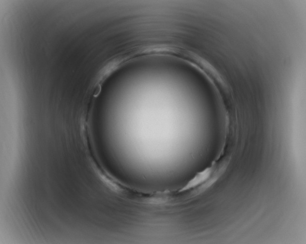 X0000115520985200911061414