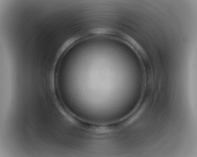 X0000115520986200911061414