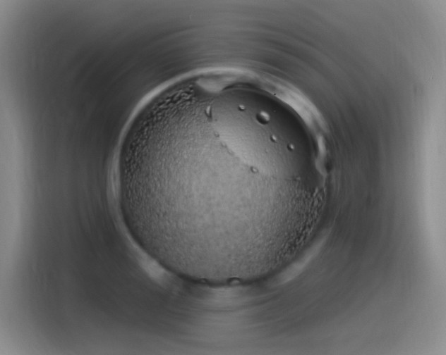X0000115520988200911061414