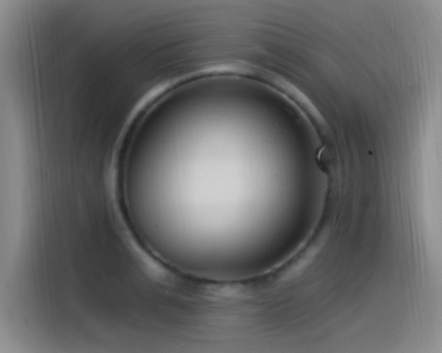 X0000115520991200911061414